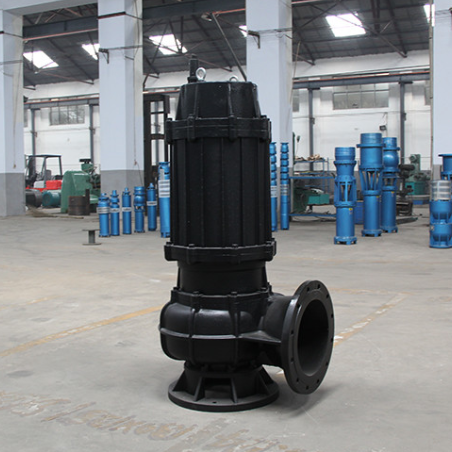 250WQ680-42-132KW-4 ปั๊มจุ่มส้วมเหล็กหล่อ อัตราการไหล 680 ลบ.ม./ชม. ระยะส่ง 42 ม. มอเตอร์ 132 กิโลวัตต์