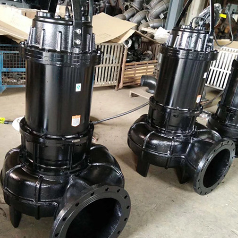 250WQ680-42-132KW-4 ปั๊มจุ่มส้วมเหล็กหล่อ อัตราการไหล 680 ลบ.ม./ชม. ระยะส่ง 42 ม. มอเตอร์ 132 กิโลวัตต์